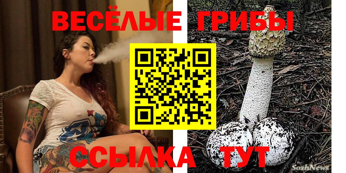 Псилоцибиновые грибы Magic Shrooms  Вход с VPN  Гулькевичи 